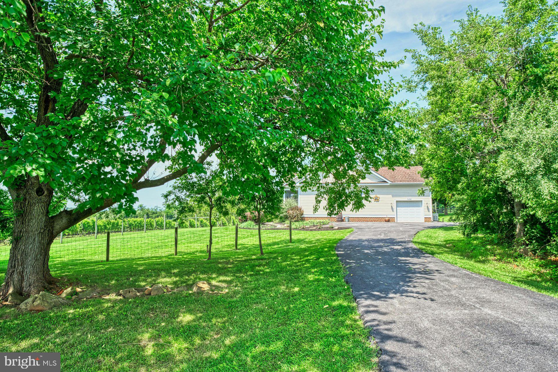 BEACON HILL - Residential