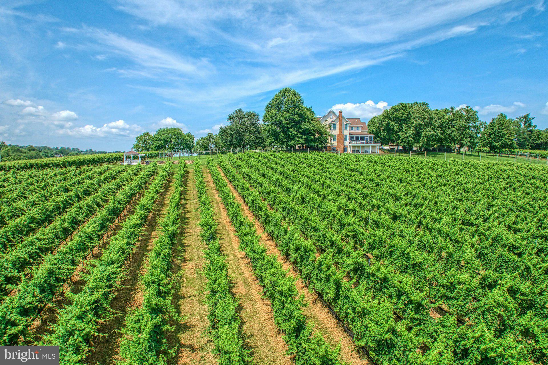 BEACON HILL - Residential