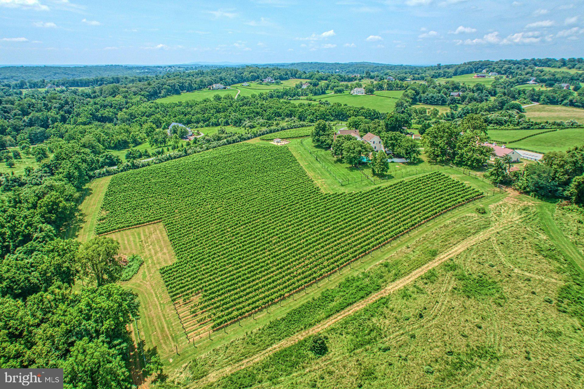 BEACON HILL - Residential