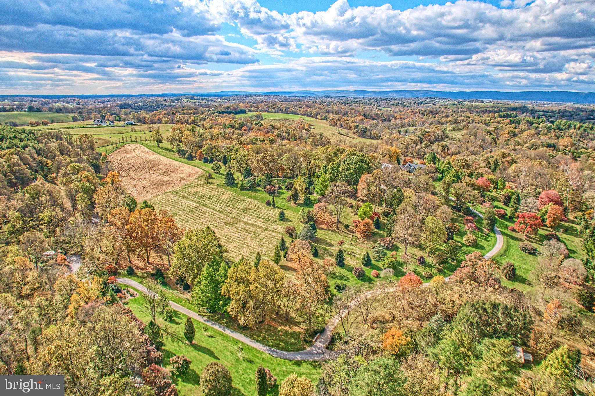 TAYLORSTOWN - Residential