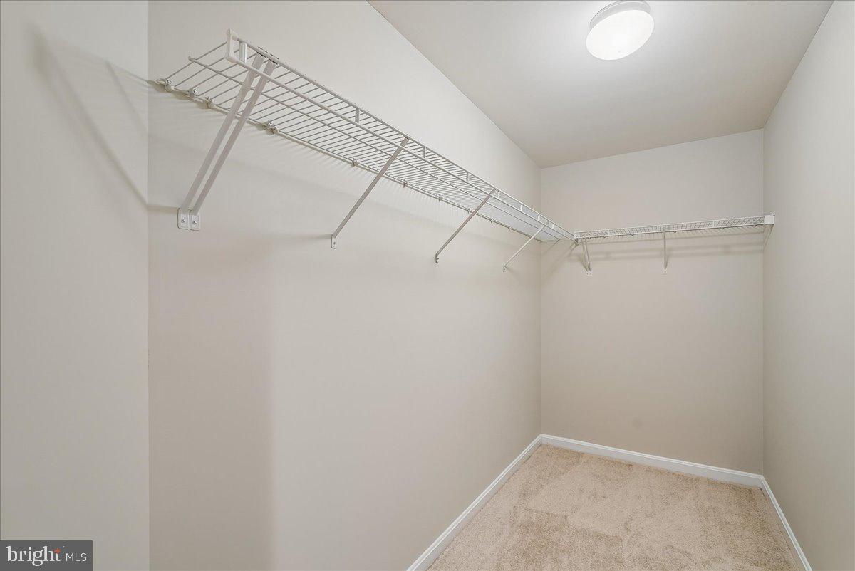 VINT HILL - Residential