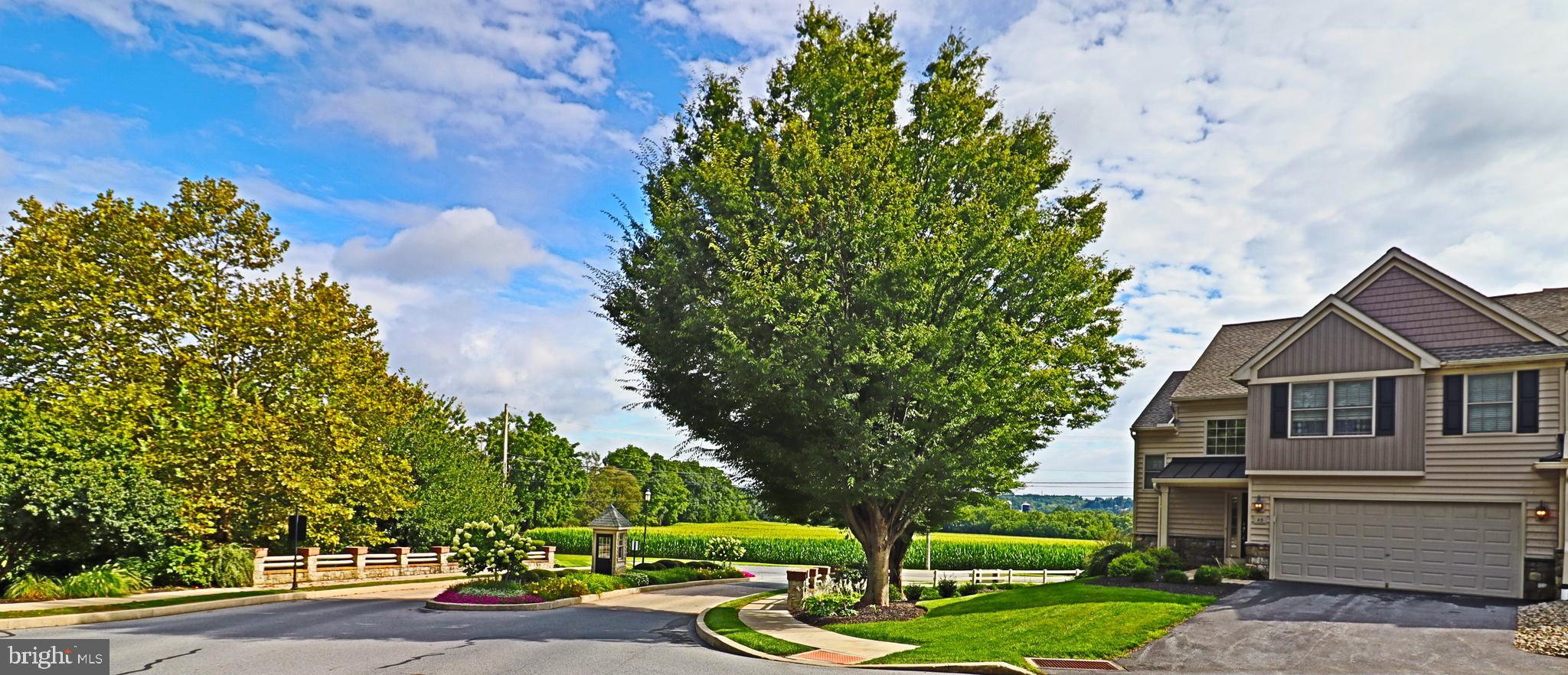 FIELDCREST AT MEADOW VALLEY - Residential
