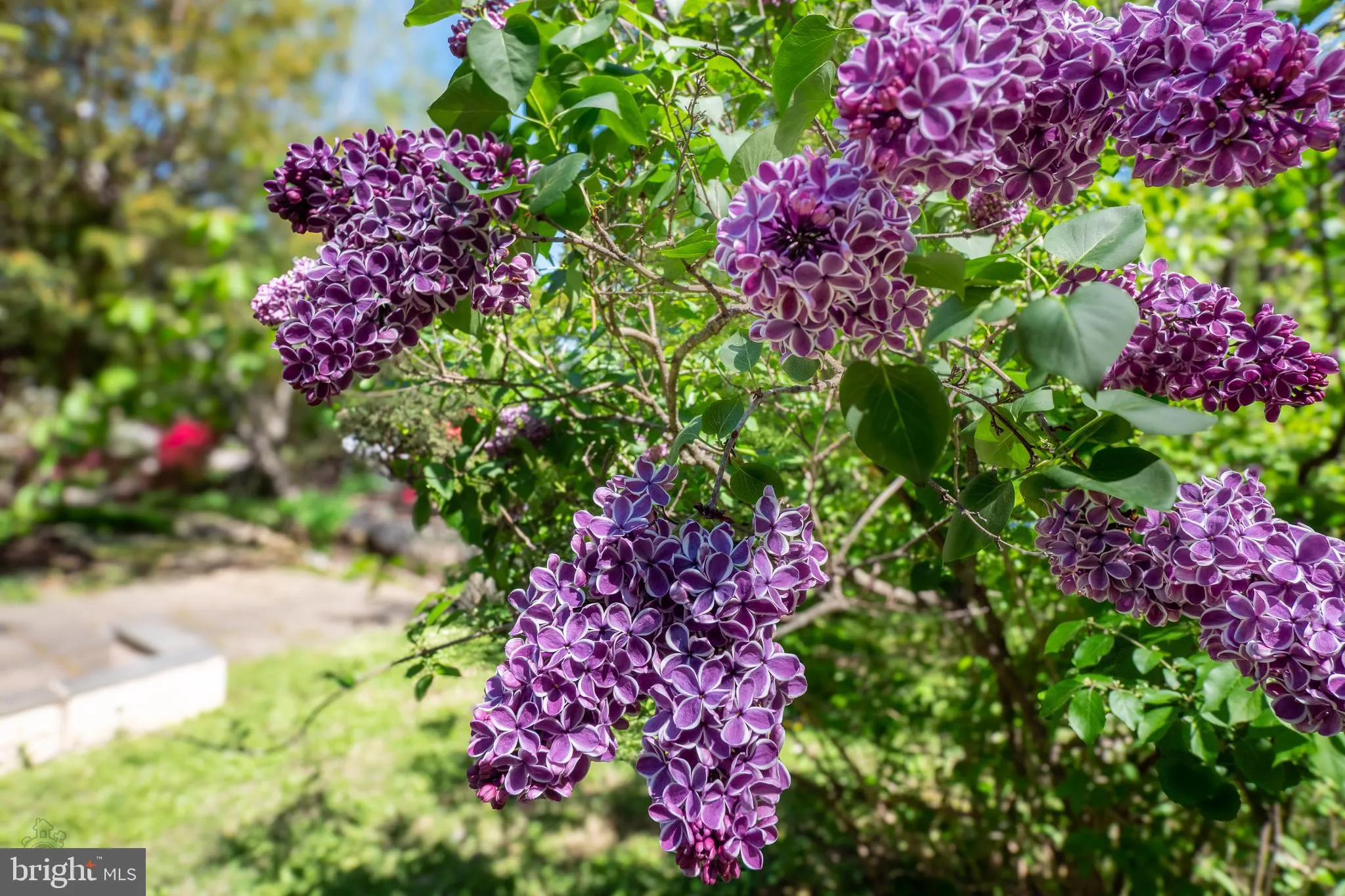 Philadelphia, Pennsylvania 19118, United States, 4 Bedrooms Bedrooms, ,3 BathroomsBathrooms,Residential,Active,136181