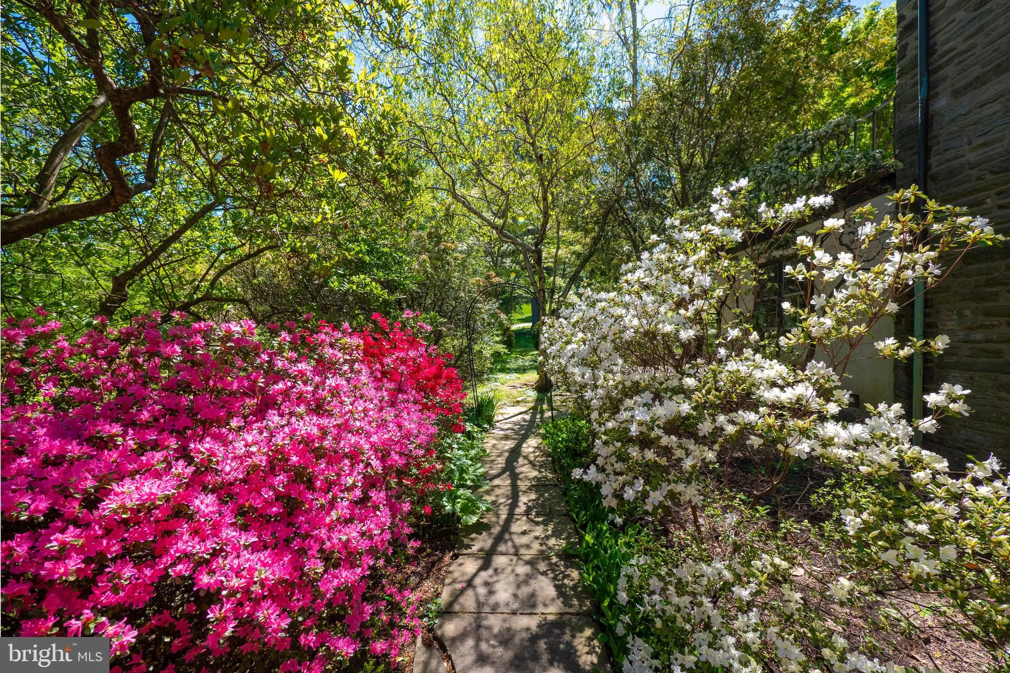 Philadelphia, Pennsylvania 19118, United States, 4 Bedrooms Bedrooms, ,3 BathroomsBathrooms,Residential,Active,136181