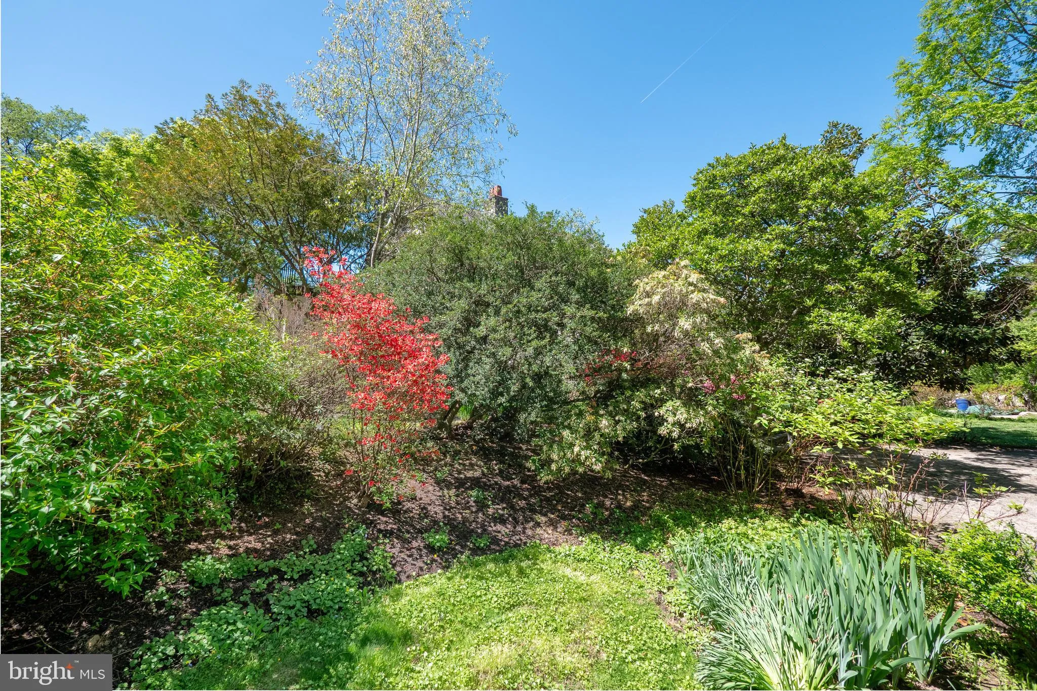 Philadelphia, Pennsylvania 19118, United States, 4 Bedrooms Bedrooms, ,3 BathroomsBathrooms,Residential,Active,136181