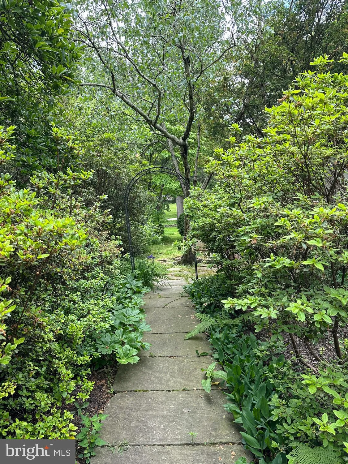 Philadelphia, Pennsylvania 19118, United States, 4 Bedrooms Bedrooms, ,3 BathroomsBathrooms,Residential,Active,136181