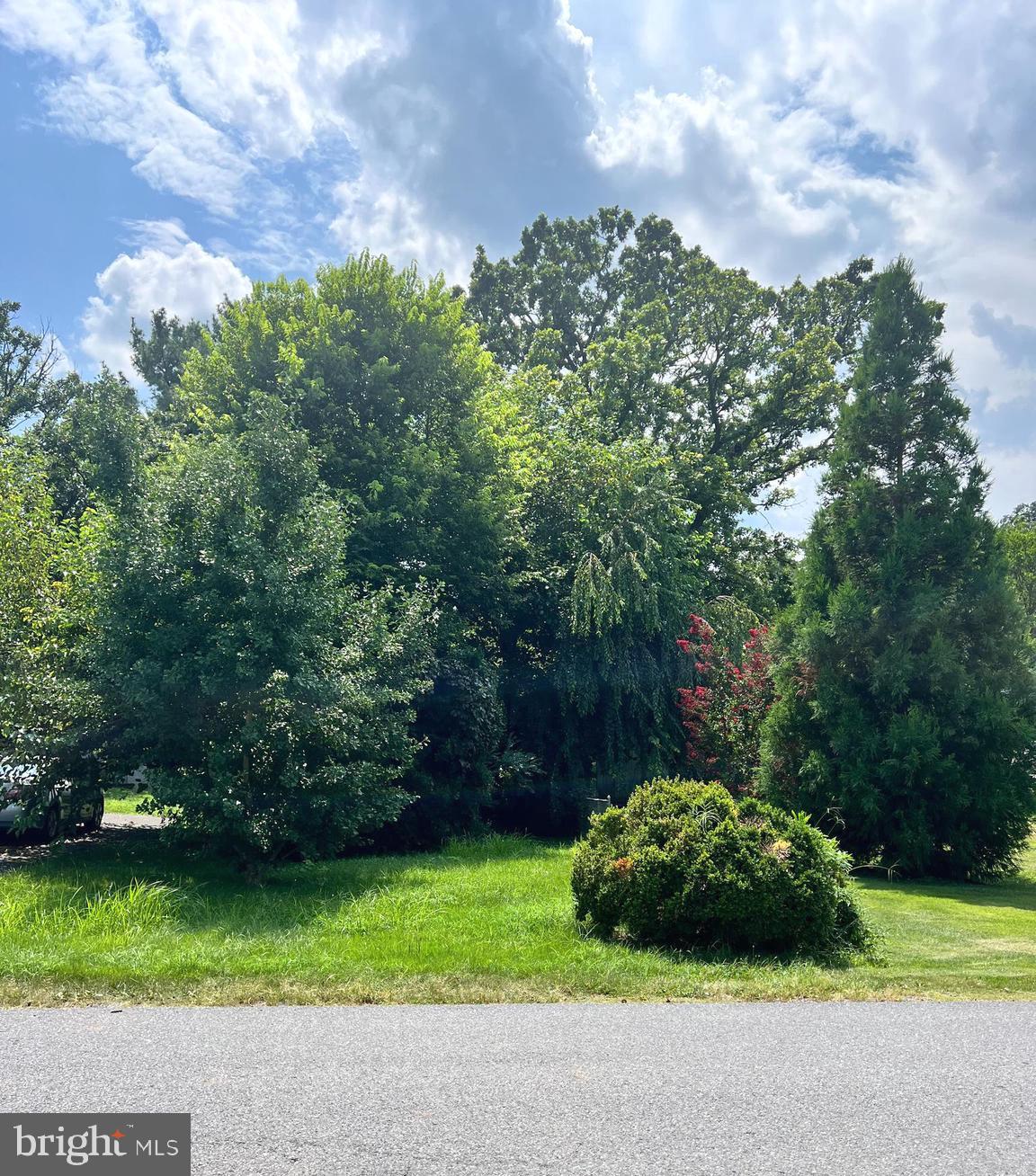 218 TREADWELL STREET