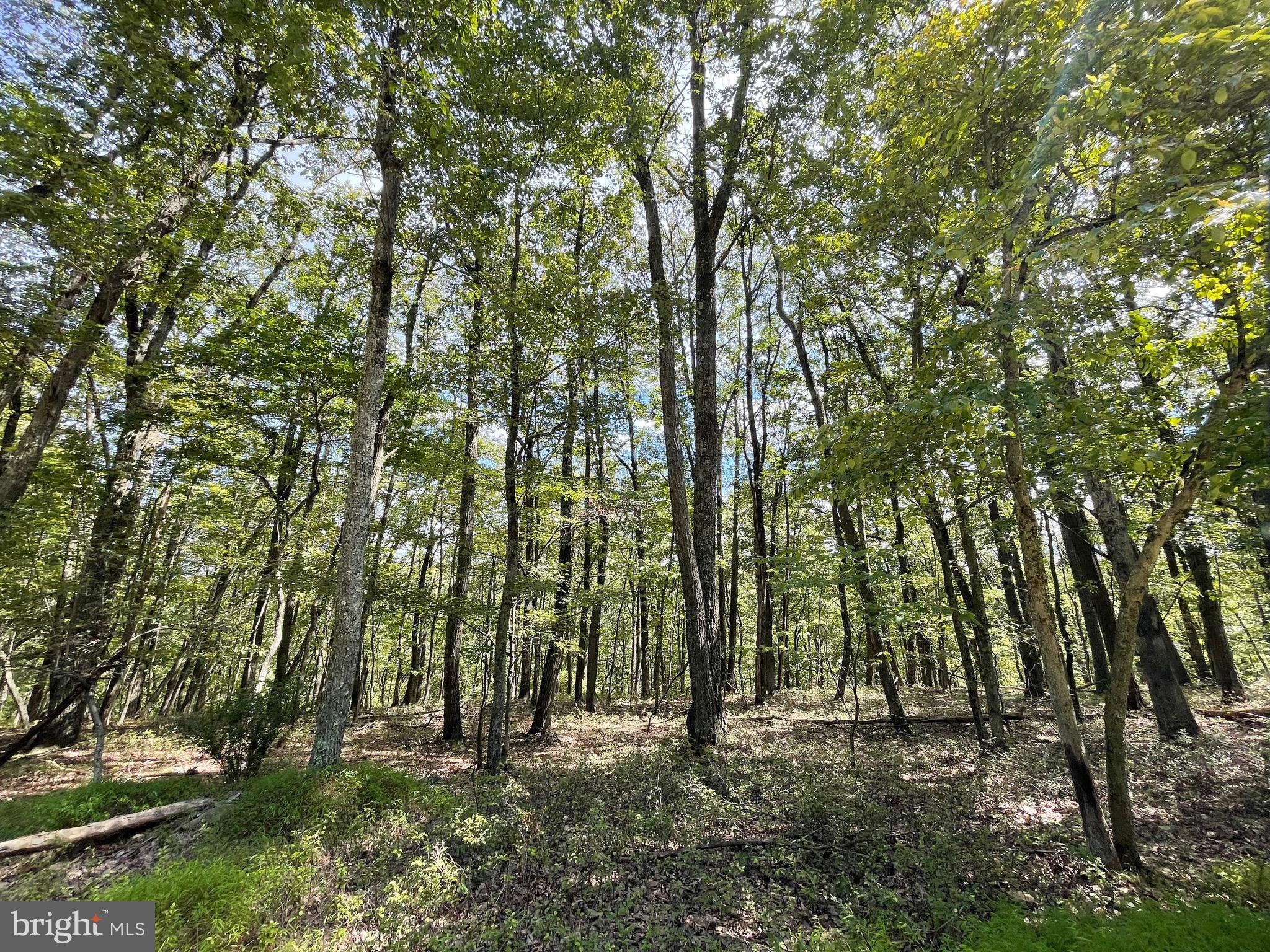 123 SPRING MOUNTAIN DRIVE