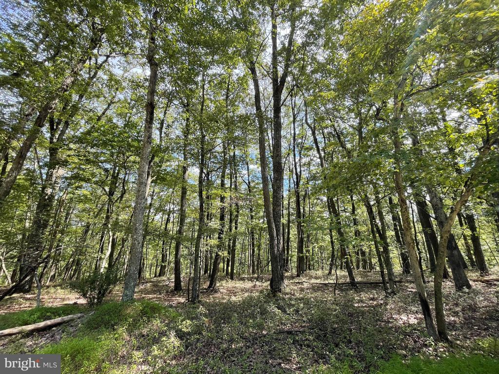 Photo of 123 Spring Mountain Drive, ZION GROVE, PA 17985 (MLS # PASK2023164)