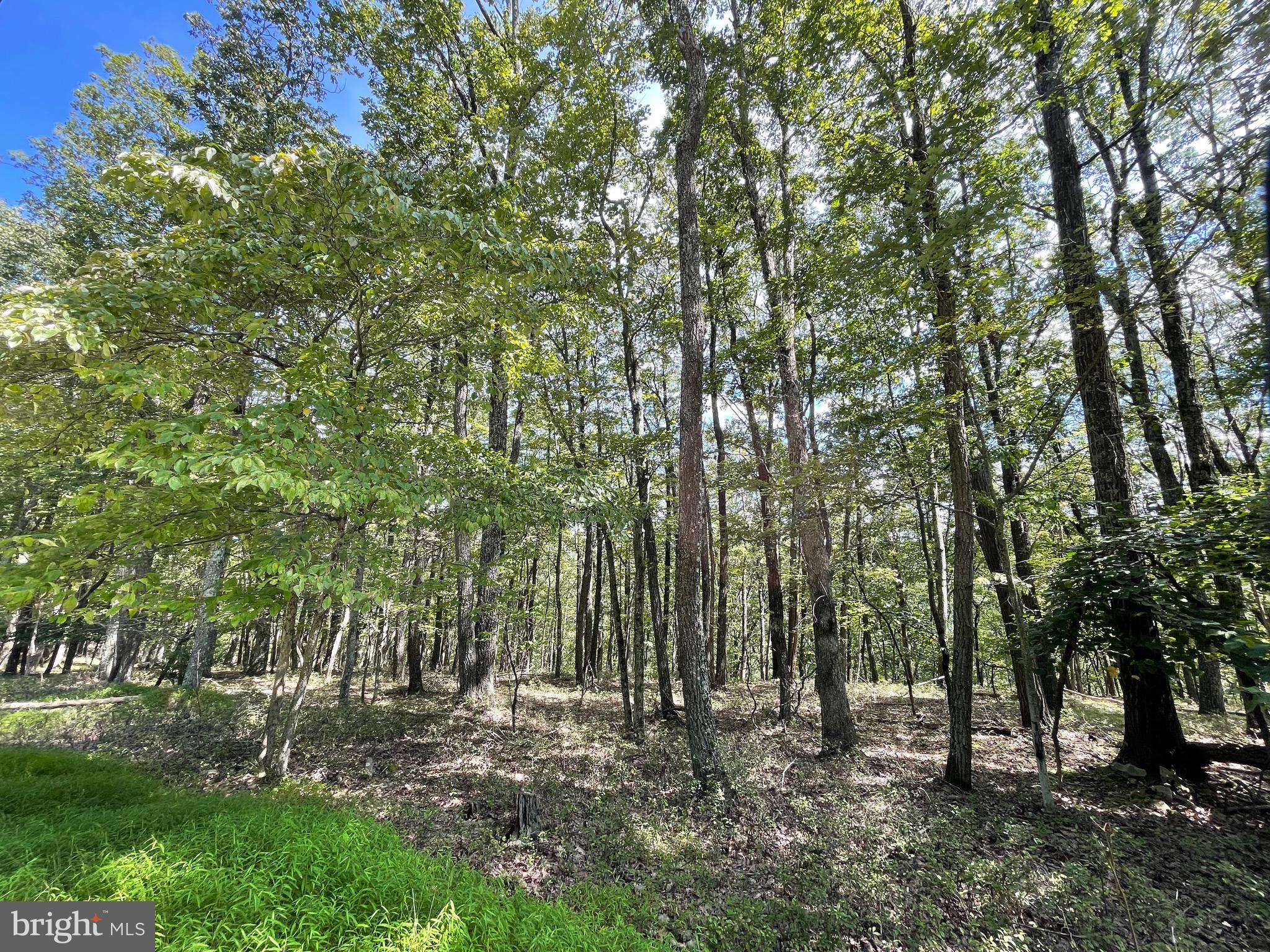 Beautiful lot which slopes to the back, lending itself for a walk out basement. Situated atop the mountain and near the front gate the location is ideal! The adjoining lot 123 Spring Mountain Dr is also for sale. When the leaves fall from the trees you'll see views across the mountain! The home of your dreams is calling!!! The Cove Village Community is situated in the foothills of the Poconos and only 1 1/2 hours to New York, With easy access to I-81 your commute to Hazleton, Wilkes Barre, or Scranton is a breeze. Bring your own builder and let's get started. Another cost-saving perc of the community is having public water and sewer already in place and ready for you to connect through Aqua of Pa. 750 acres of unoccupied prime hunting, ATV, and snowmobile riding land surround the residential portion of Cove Village and is allocated only for the residents of the community and their guests! Driving through the community, the peace and tranquility will envelop you. At any given moment the deer, turkey, and birds will entertain you in your own backyard. Homes within the community vary from rustic cabins and chalets to traditional ranch or two-story homes and even exquisite new construction or dreamy mountain log homes. There really is something for everyone. The approximately 278 acres of residential homes and lots are occupied by full-time residents, part-time vacation homes, and even some snowbird second homes. Cove Village offers an abundance of amenities including a swimming pool, stocked fishing lake, a basketball court, tennis courts, a volleyball court, 2 playgrounds, a baseball field, ATV paths, hunting, a mini golf course, walking paths, and year-round Community events. I can't forget to mention the beautiful lodge ideal to rent for family gatherings. This lot and community just might be exactly what you've been looking for. Air B and B are not permitted. Camping on vacant lots is not permitted. Mobile homes are not permitted. The minimum square footage when building is 1400 square feet. The community maintains the roads and snow removal. Trash collection is also provided. Acreage is estimated based on similar lot sizes in the development. Exact acreage will be provided through the legal description prior to closing. Tax ID number and assessed value will be assigned by the county following closing. An appointment is required to view due to the gated community. Call to schedule your tour today!