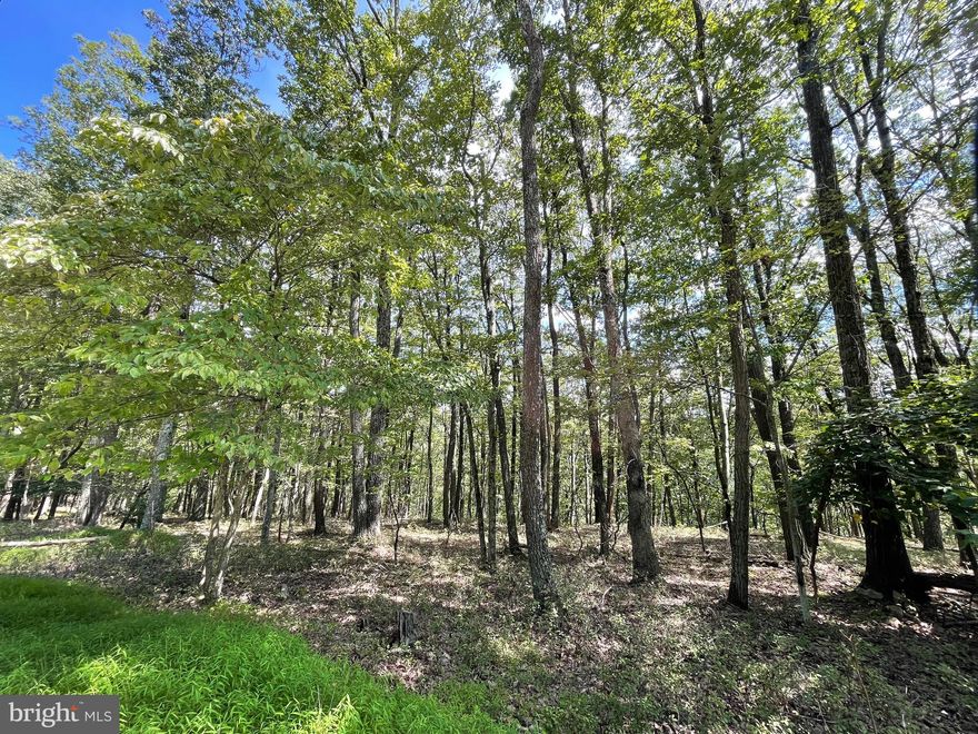 Beautiful lot which slopes to the back, lending itself for a walk out basement.   Situated atop the mountain and near the front gate the location is ideal!  The adjoining lot 123 Spring Mountain Dr is also for sale.  When the leaves fall from the trees you'll see views across the mountain!  The home of your dreams is calling!!!  The Cove Village Community is situated in the foothills of the Poconos and only 1 1/2 hours to New York,  With easy access to I-81 your commute to Hazleton, Wilkes Barre, or Scranton is a breeze.  Bring your own builder and let's get started.   Another cost-saving perc of the community is having public water and sewer already in place and ready for you to connect through Aqua of Pa.   750 acres of unoccupied prime hunting, ATV, and snowmobile riding land surround the residential portion of Cove Village and is allocated only for the residents of the community and their guests!  Driving through the community, the peace and tranquility will envelop you.  At any given moment the deer, turkey, and birds will entertain you in your own backyard.   Homes within the community vary from rustic cabins and chalets to traditional ranch or two-story homes and even exquisite new construction or dreamy mountain log homes.  There really is something for everyone.  The approximately 278 acres of residential homes and lots are occupied by full-time residents, part-time vacation homes, and even some snowbird second homes.  Cove Village offers an abundance of amenities including a swimming pool, stocked fishing lake, a basketball court, tennis courts, a volleyball court, 2 playgrounds, a baseball field, ATV paths, hunting, a mini golf course, walking paths, and year-round Community events.  I can't forget to mention the beautiful lodge ideal to rent for family gatherings.   This lot and community just might be exactly what you've been looking for.  Air B and B are not permitted. Camping on vacant lots is not permitted.  Mobile homes are not permitted.  The minimum square footage when building is 1400 square feet.  The community maintains the roads and snow removal.  Trash collection is also provided.  Acreage is estimated based on similar lot sizes in the development.  Exact acreage will be provided through the legal description prior to closing.  Tax ID number and assessed value will be assigned by the county following closing.   An appointment is required to view due to the gated community.  Call to schedule your tour today!