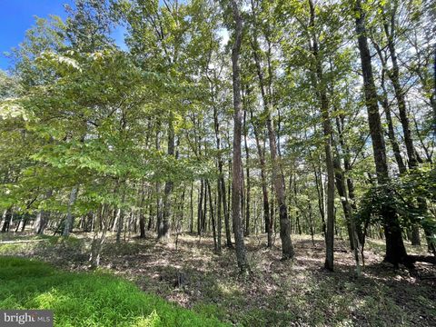 123 SPRING MOUNTAIN DRIVE ZION GROVE PA 17985