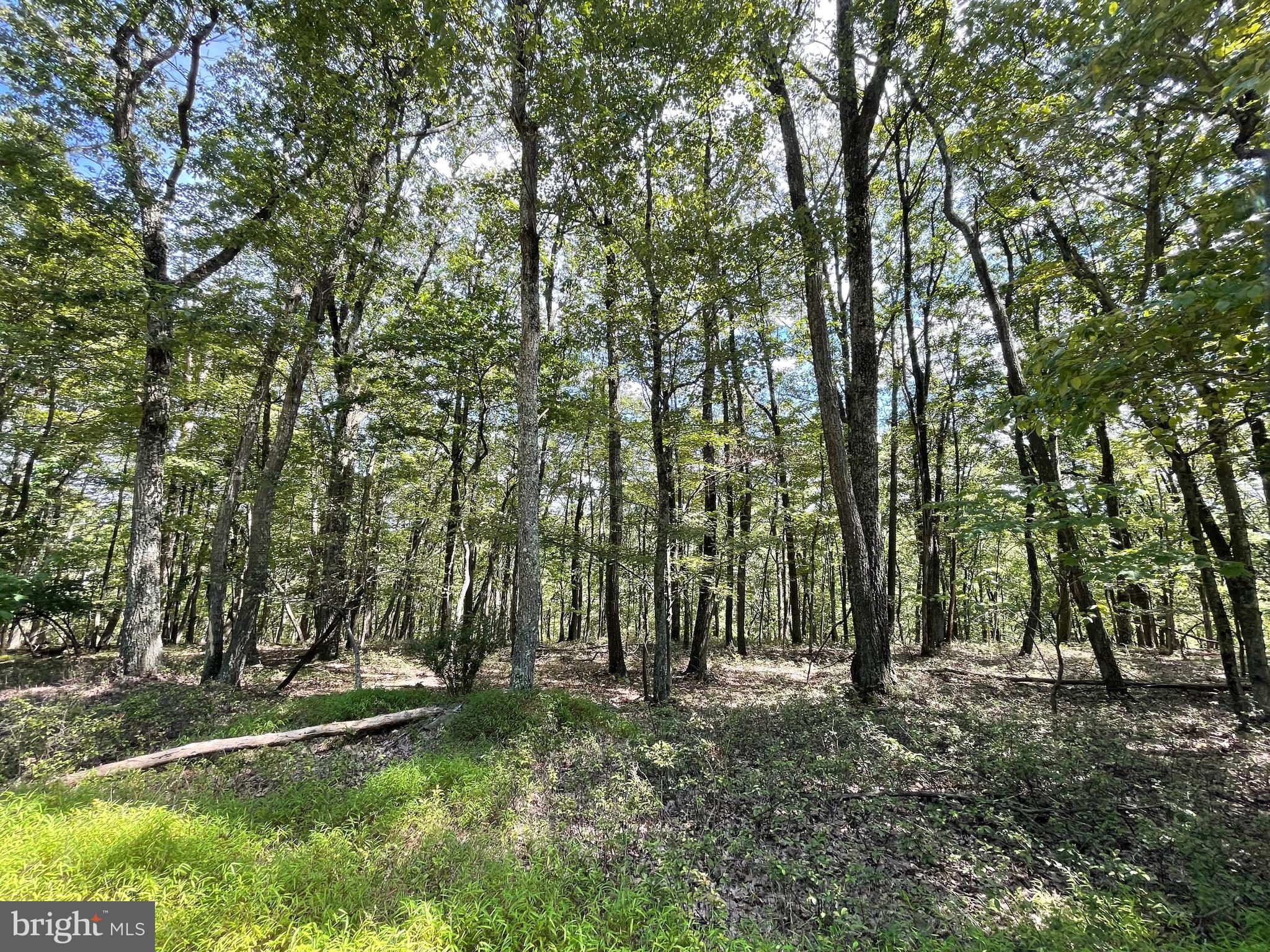 123 SPRING MOUNTAIN DRIVE