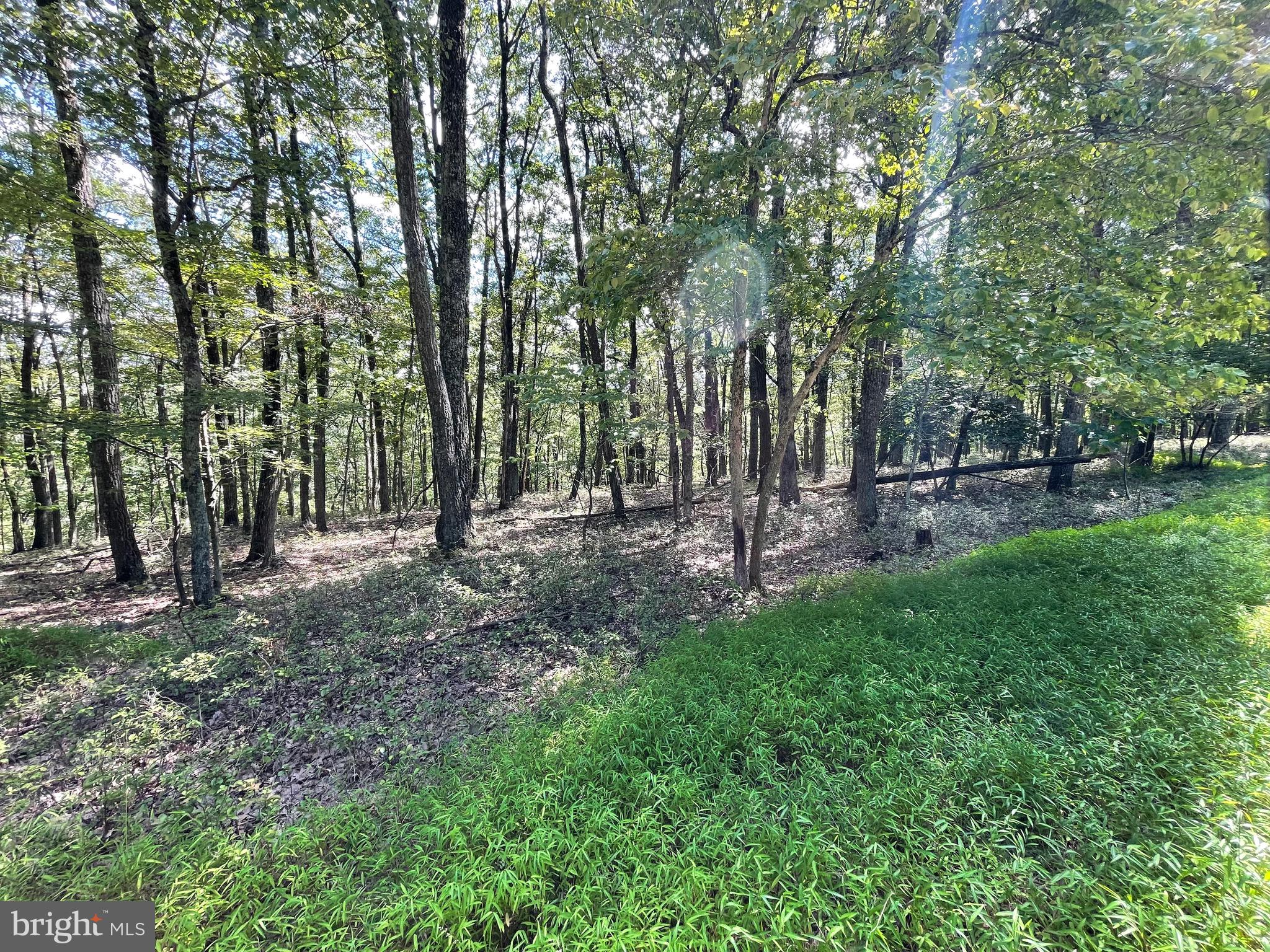 123 SPRING MOUNTAIN DRIVE