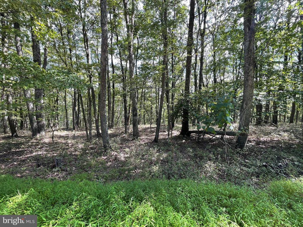 Photo of 123 Spring Mountain Drive, ZION GROVE, PA 17985 (MLS # PASK2023164)