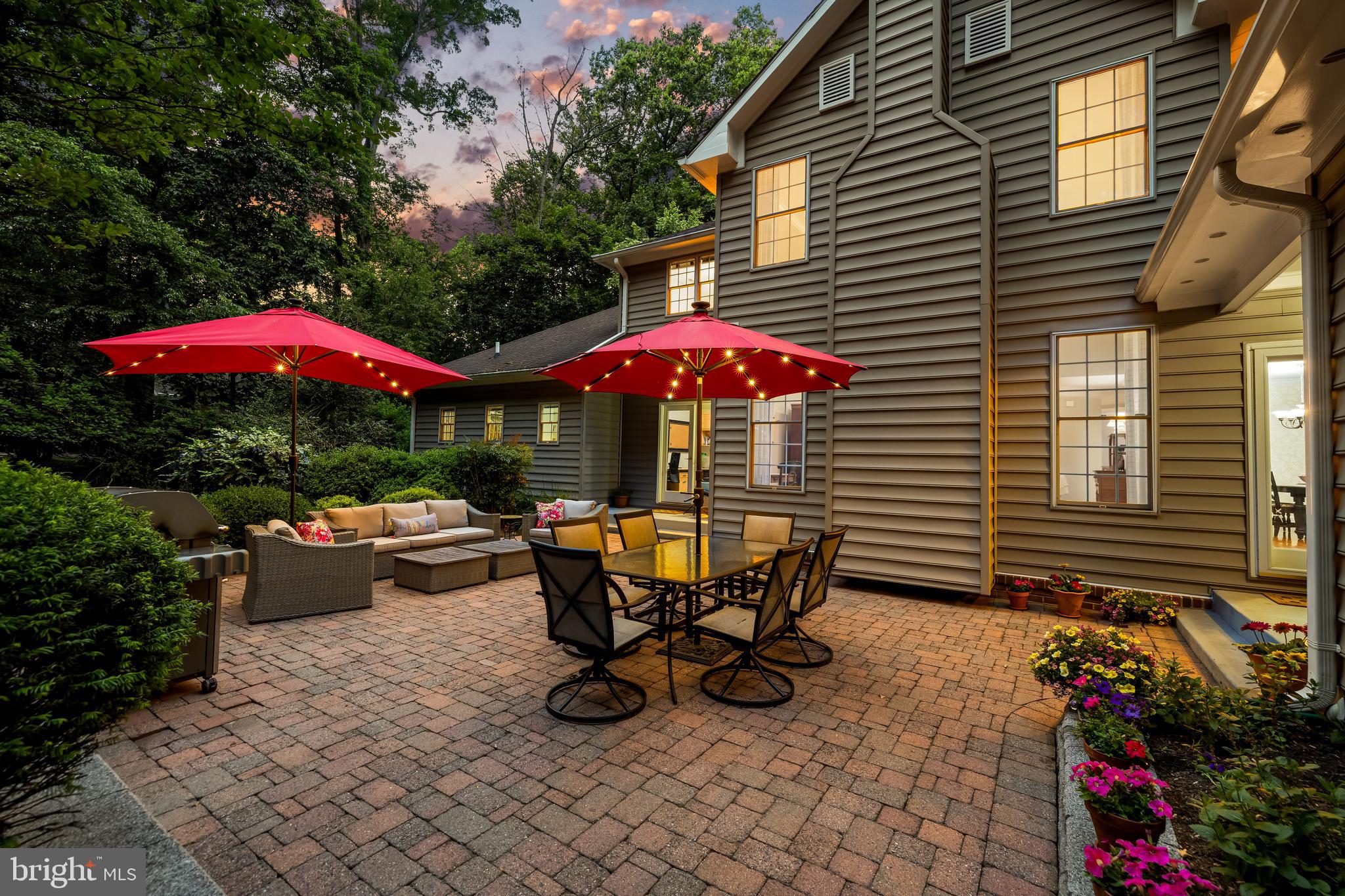 2511 CHESTNUT WOODS COURT