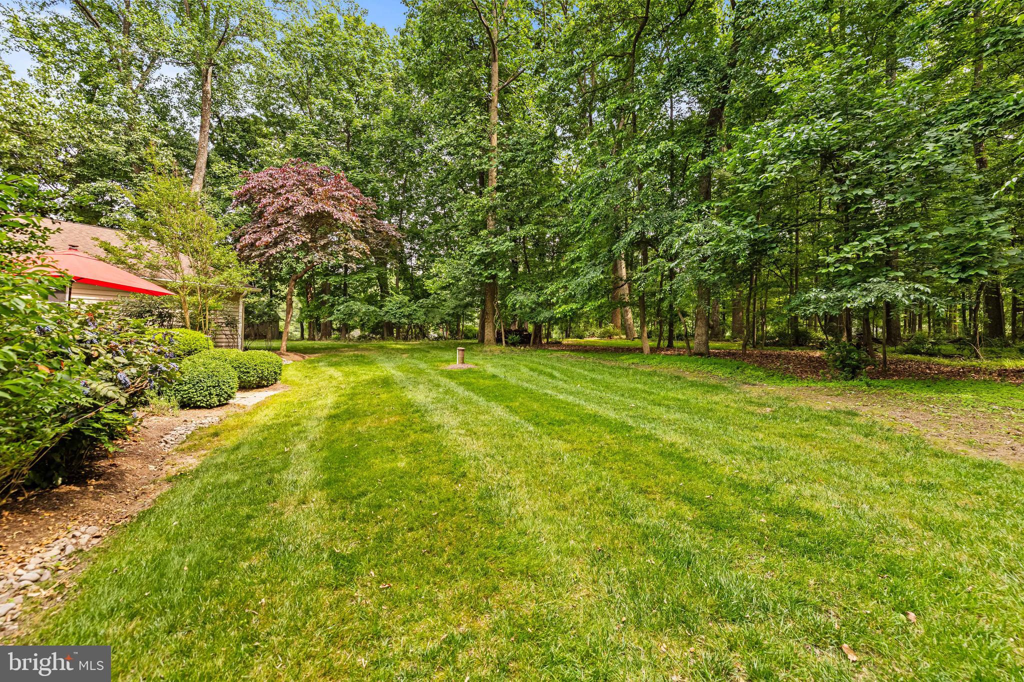 CHESTNUT WOODS - Residential