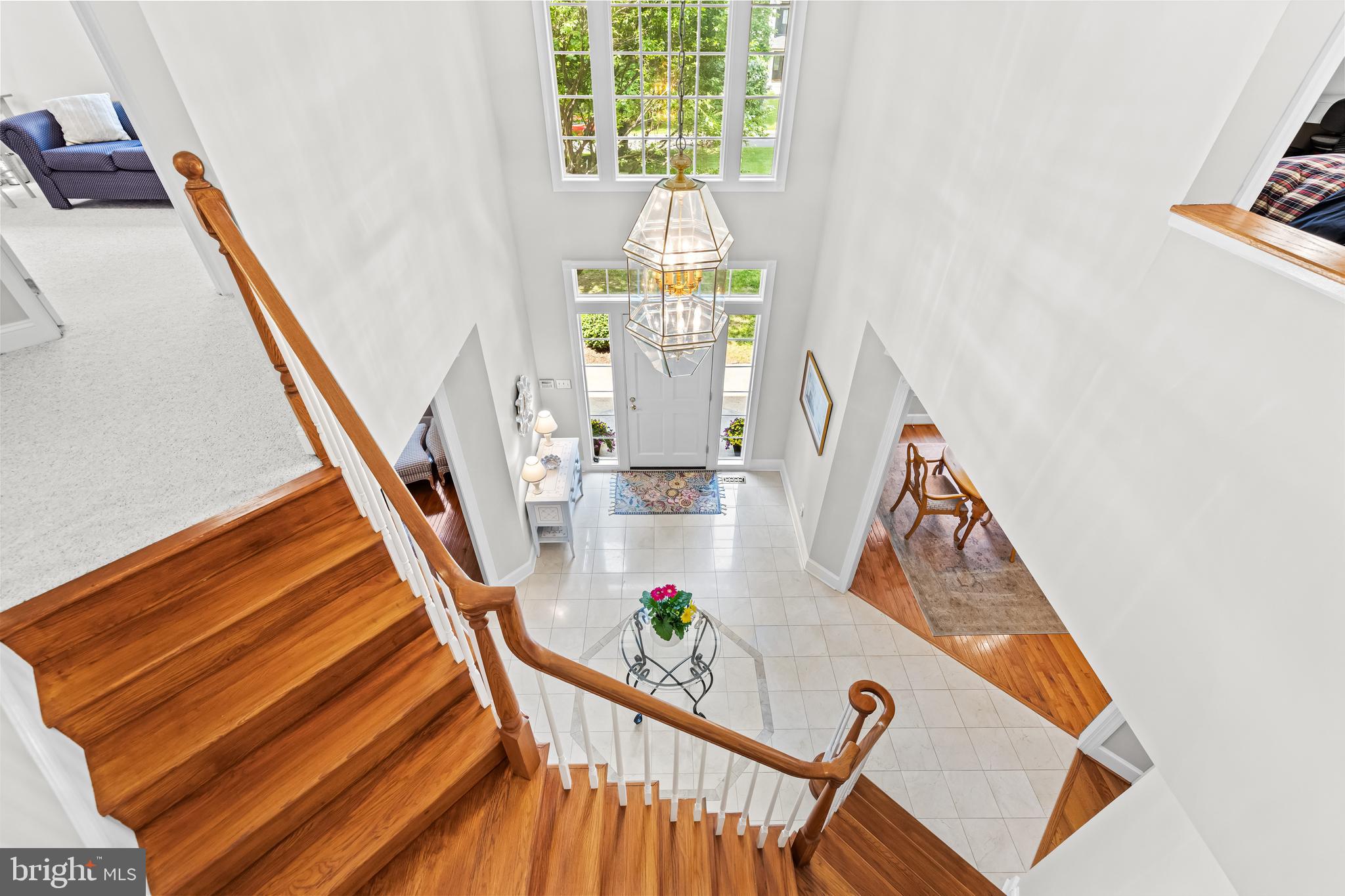 CHESTNUT WOODS - Residential