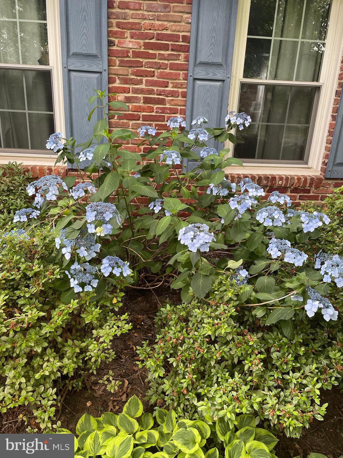 CHARTRIDGE - Residential