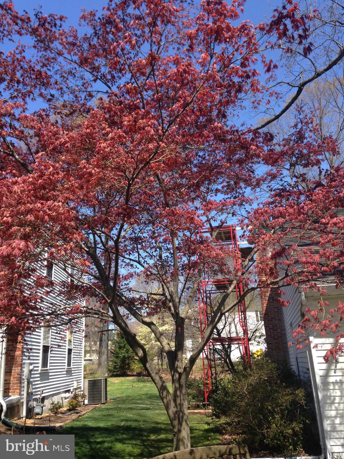 CHARTRIDGE - Residential
