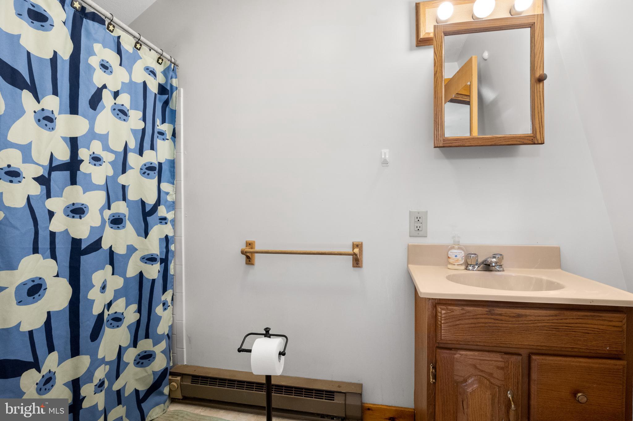 BRYCE  MOUNTAIN  RESORT - Residential