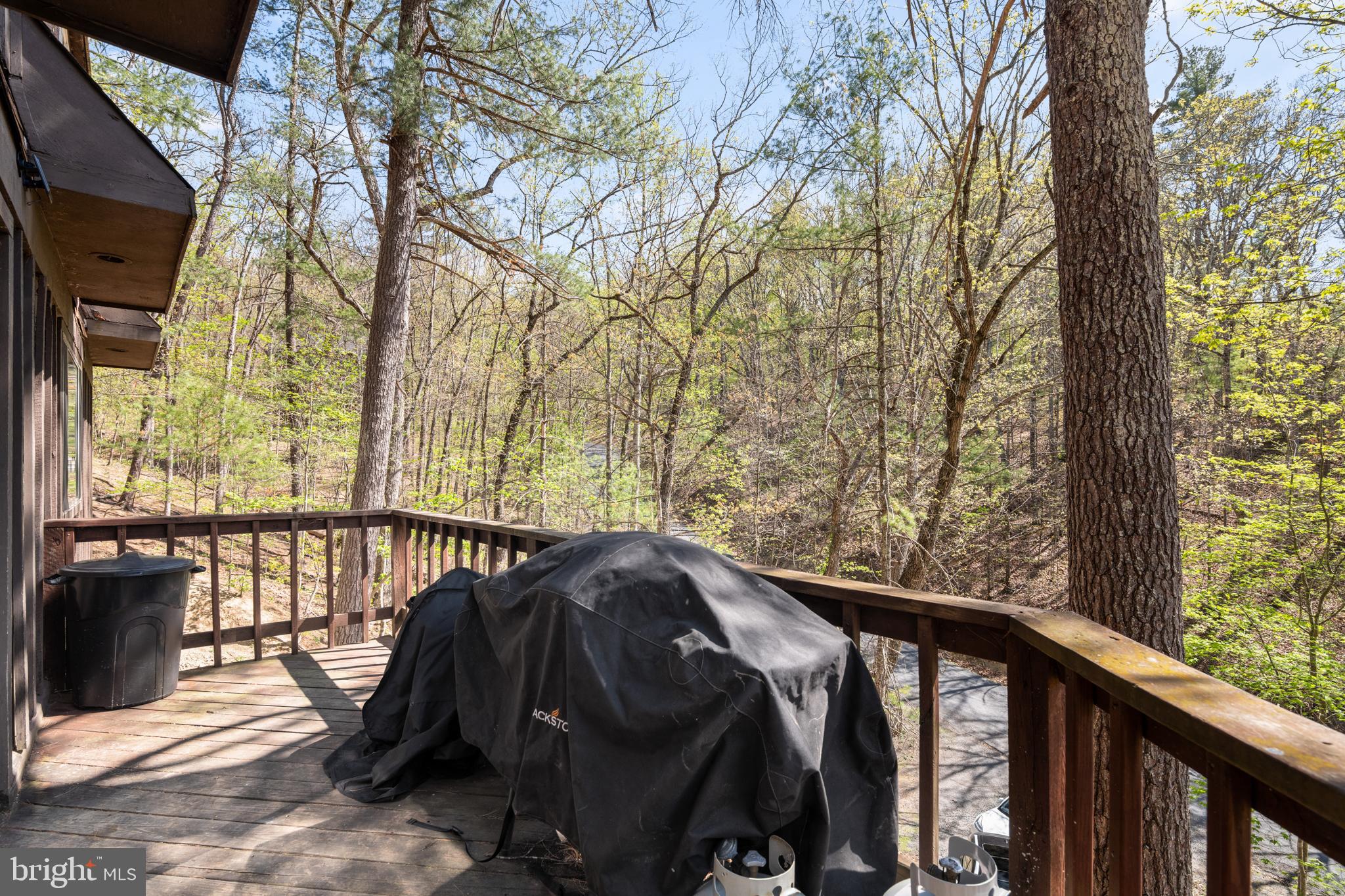 BRYCE  MOUNTAIN  RESORT - Residential