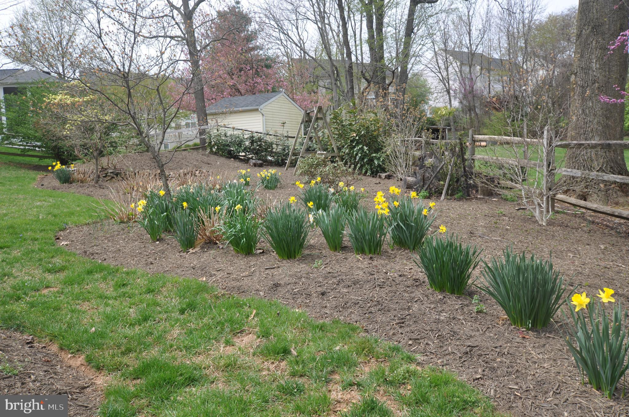 BEAUREGARD HEIGHTS - Residential