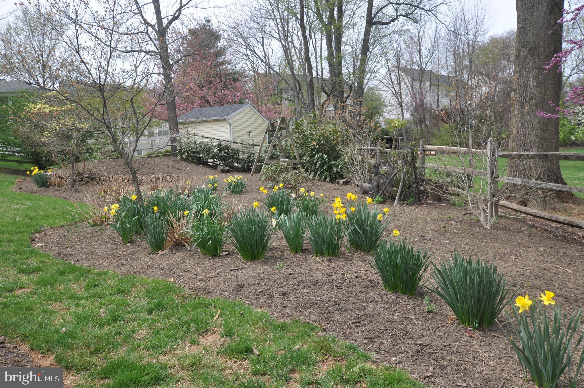 BEAUREGARD HEIGHTS - Residential