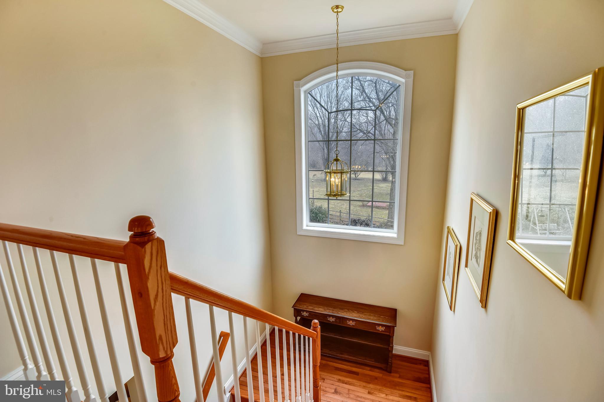 BEAUREGARD HEIGHTS - Residential