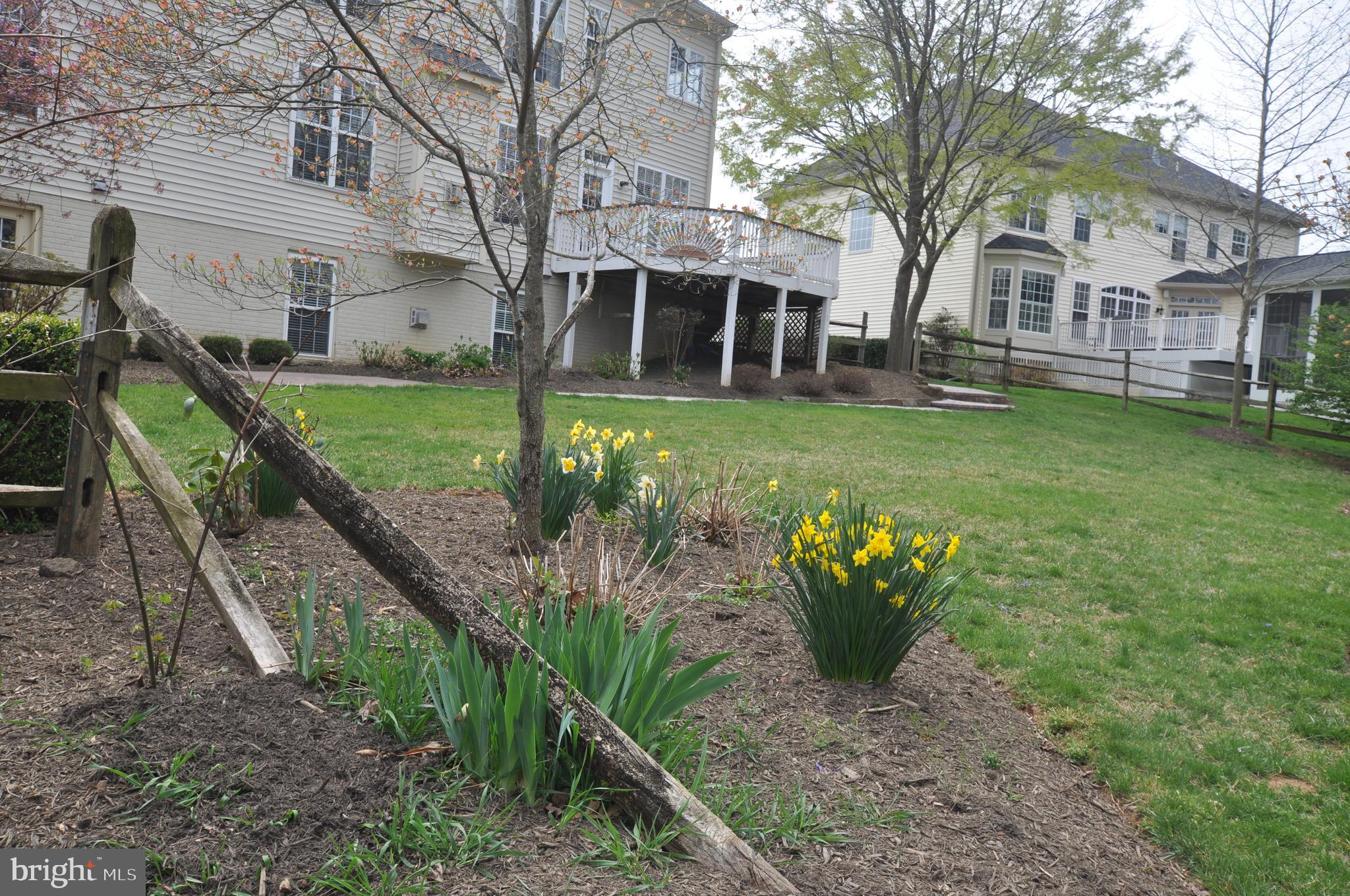 BEAUREGARD HEIGHTS - Residential