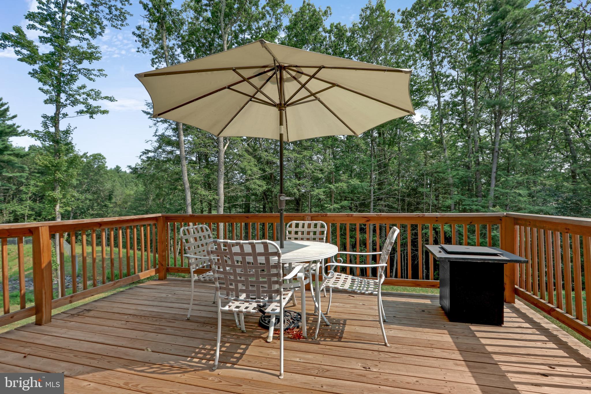 131 CHINABERRY WAY