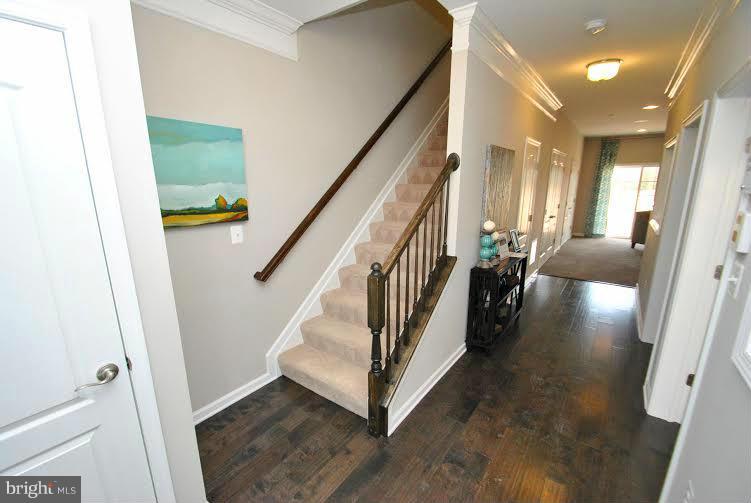 PRESERVE AT WINDLASS RUN - Residential