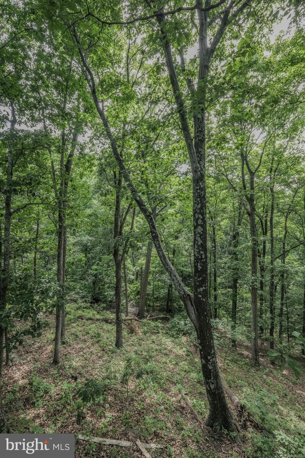 SKYLAND ESTATES - Residential