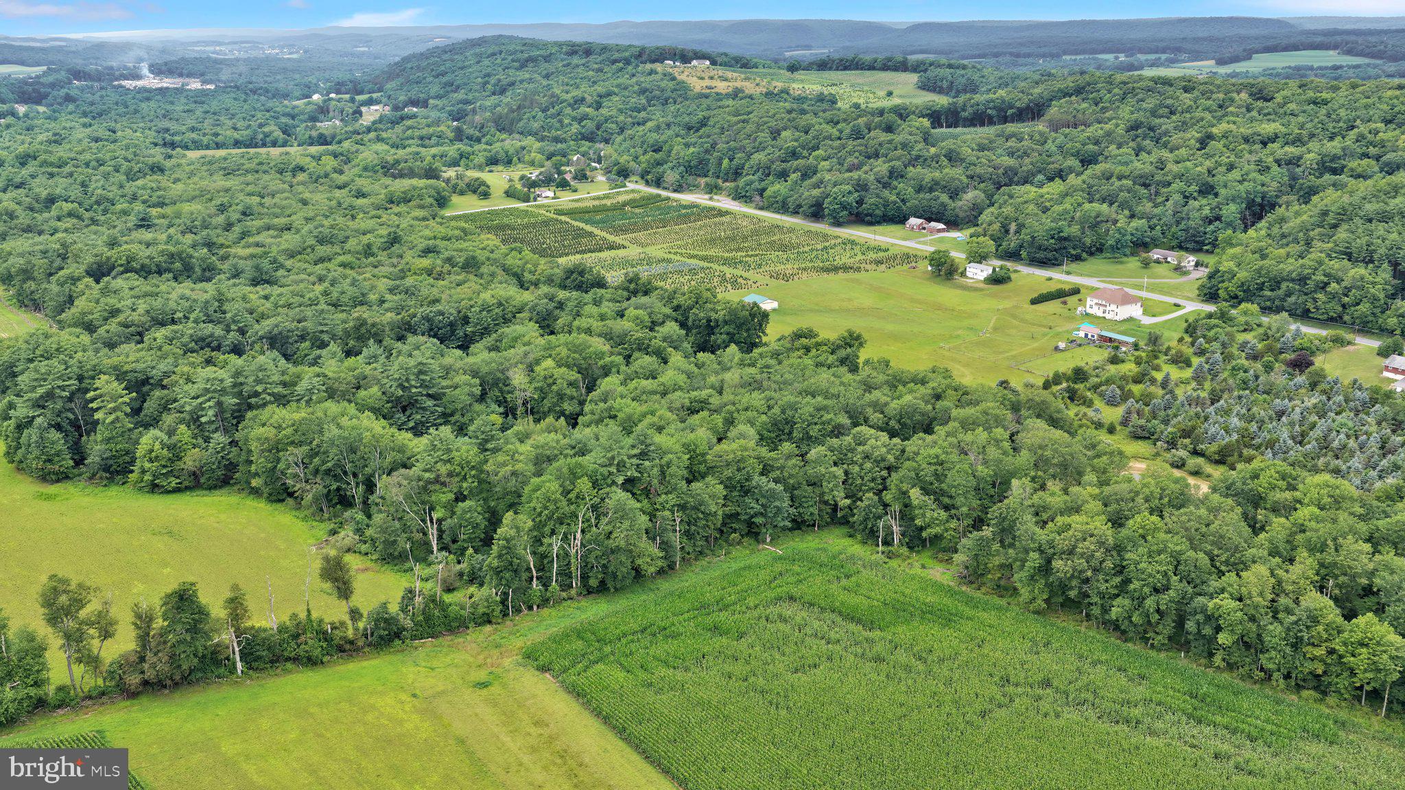 0 SUMMER VALLEY ROAD