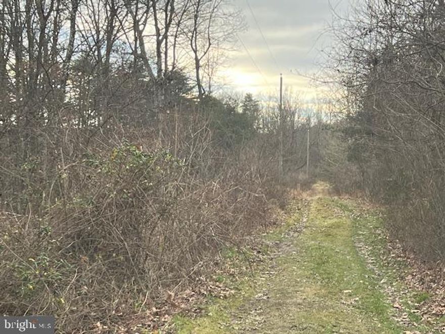 Discover the perfect canvas  at Lot 4, Majestic Ln., Berkeley Springs, WV. This stunning 11.07-acre parcel offers a blend of serenity and accessibility, situated right off 522. ALL DOCUMENTS available  ONLINE - buyer to do their own due diligence.