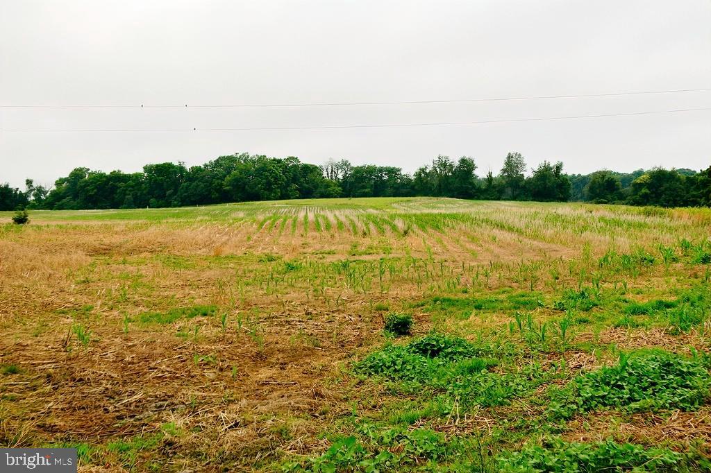 40455 QUARTER BRANCH ROAD