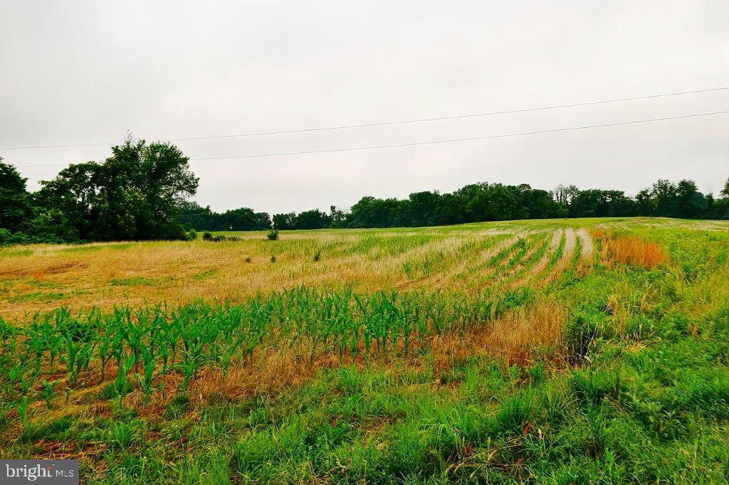 40455 QUARTER BRANCH ROAD