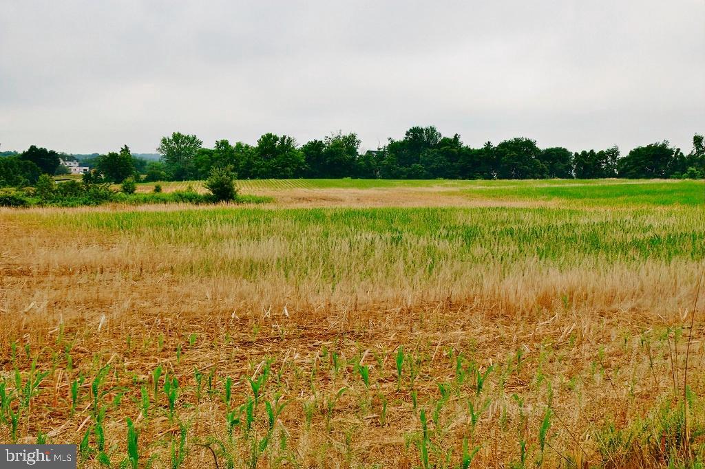 40455 QUARTER BRANCH ROAD