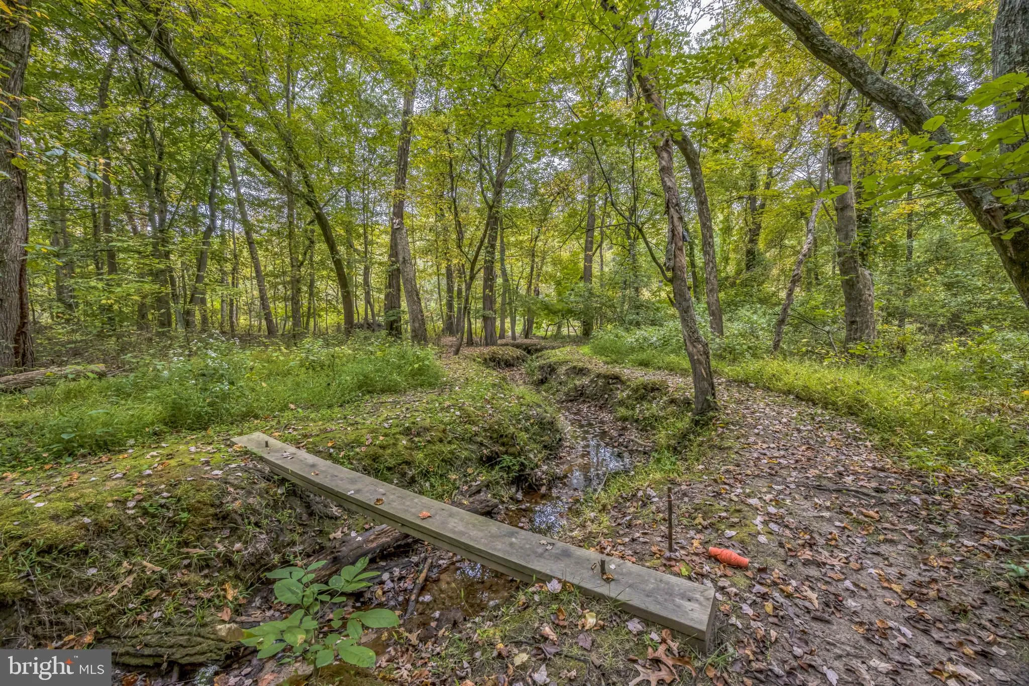 Hainesport, New Jersey 08036, United States, ,Land,Active,220650