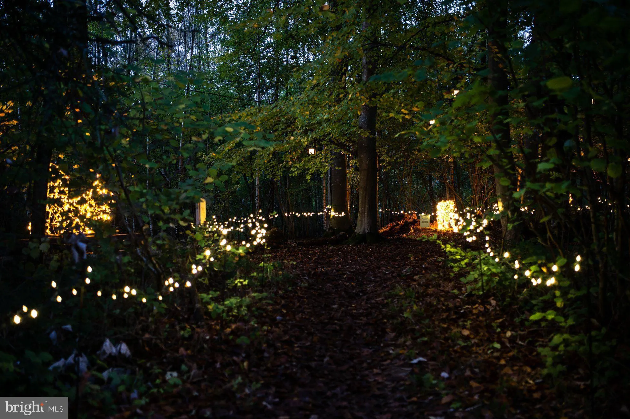 Hainesport, New Jersey 08036, United States, ,Land,Active,220650