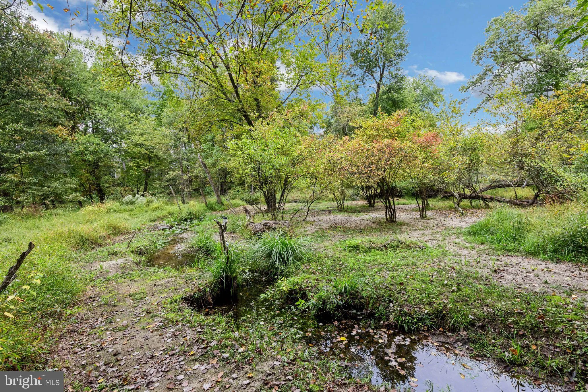 Hainesport, New Jersey 08036, United States, ,Land,Active,220650