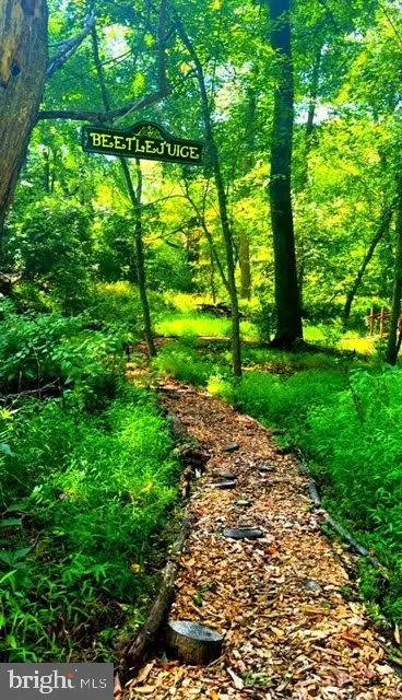 Hainesport, New Jersey 08036, United States, ,Land,Active,220650