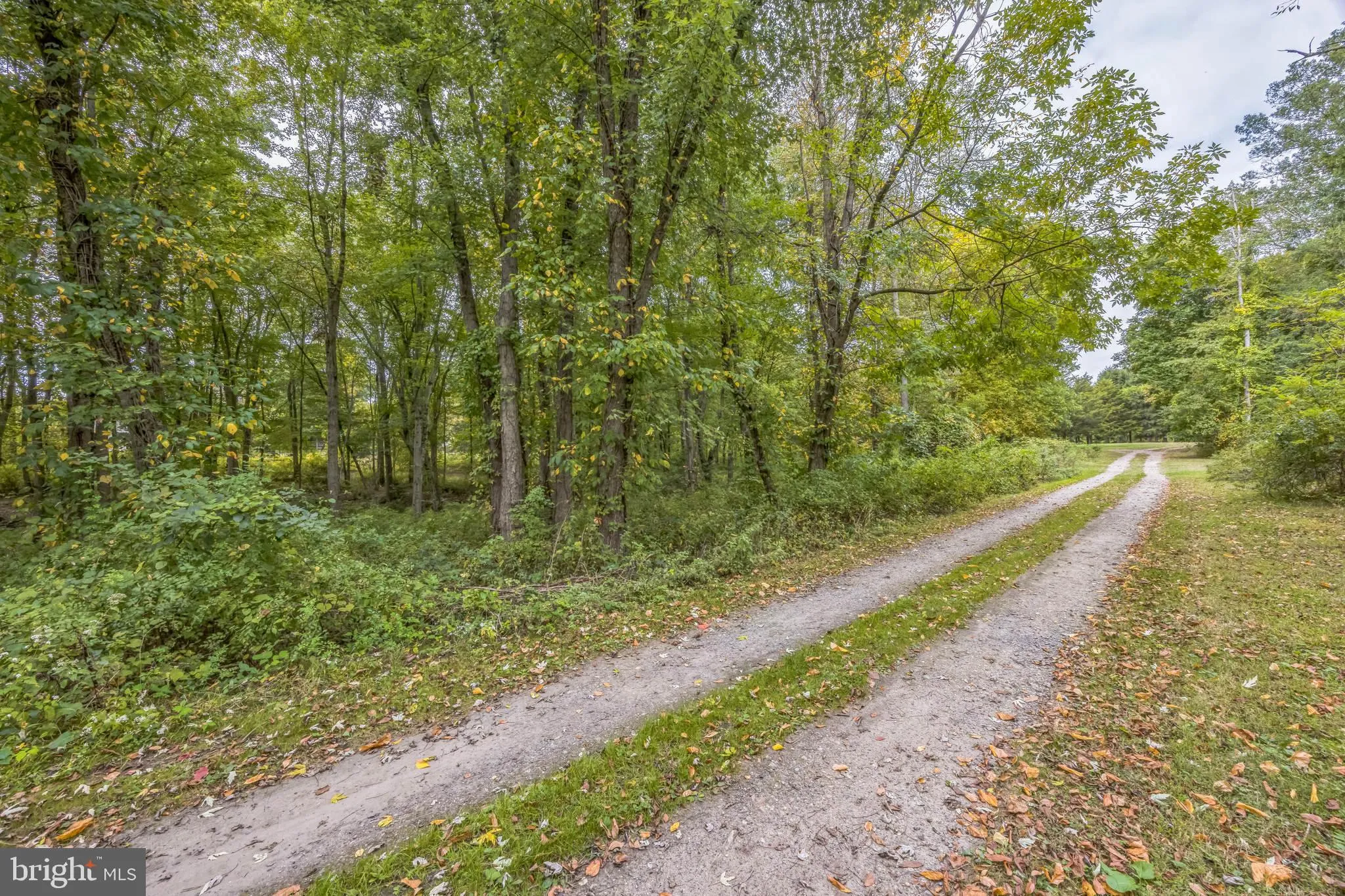 Hainesport, New Jersey 08036, United States, ,Land,Active,220650