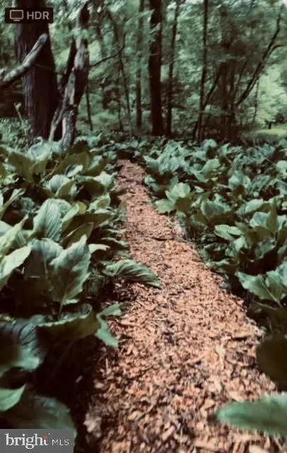 Hainesport, New Jersey 08036, United States, ,Land,Active,220650