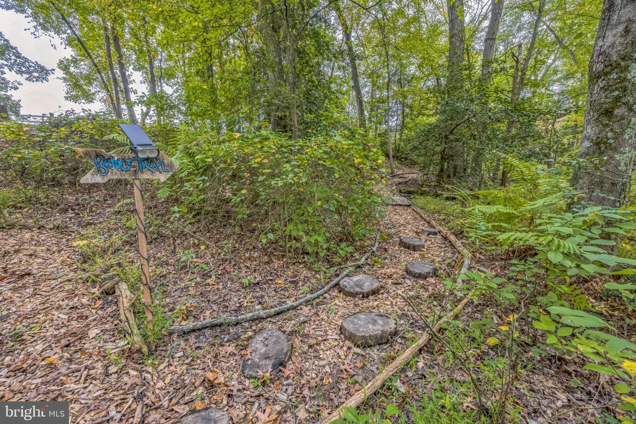 Hainesport, New Jersey 08036, United States, ,Land,Active,220650