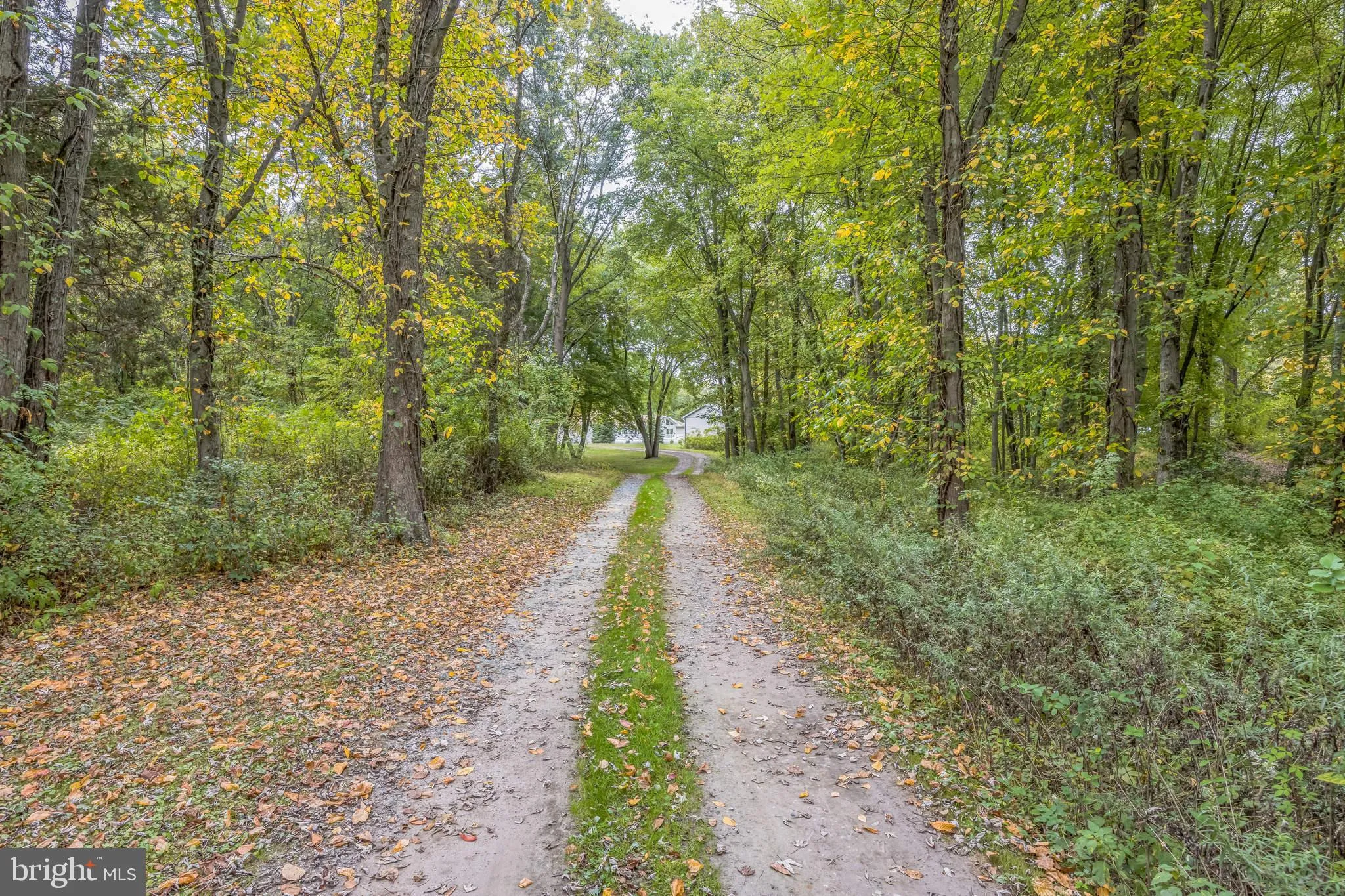 Hainesport, New Jersey 08036, United States, ,Land,Active,220650