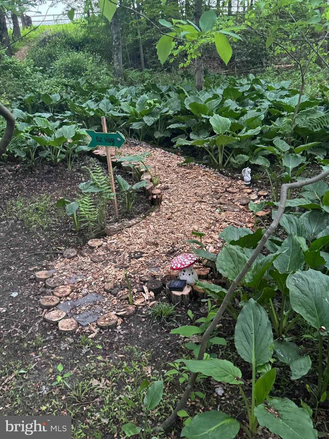 Hainesport, New Jersey 08036, United States, ,Land,Active,220650