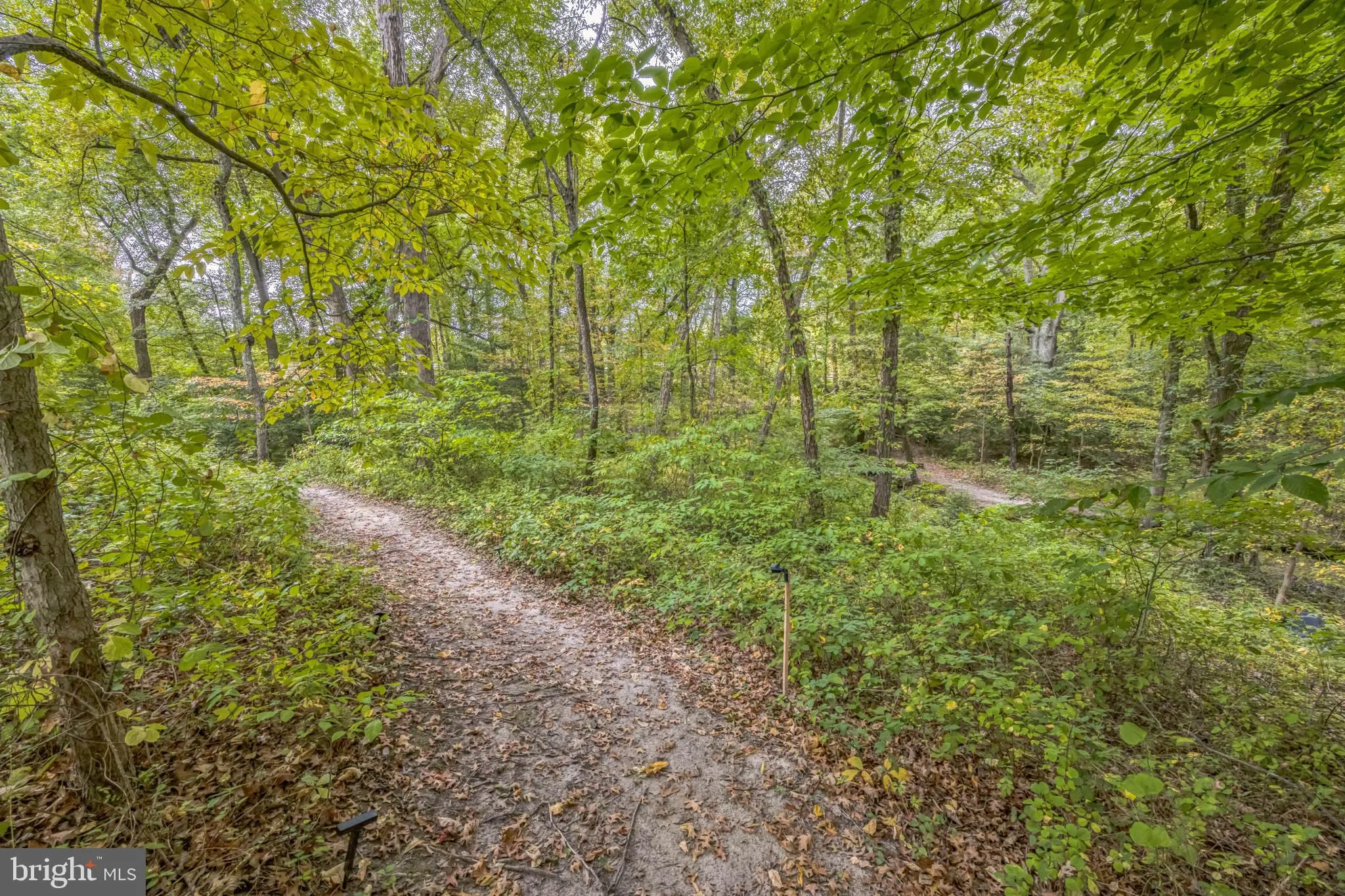 Hainesport, New Jersey 08036, United States, ,Land,Active,220650