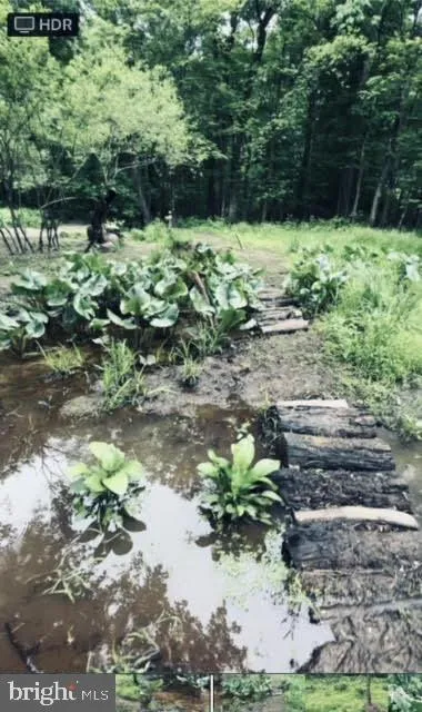 Hainesport, New Jersey 08036, United States, ,Land,Active,220650