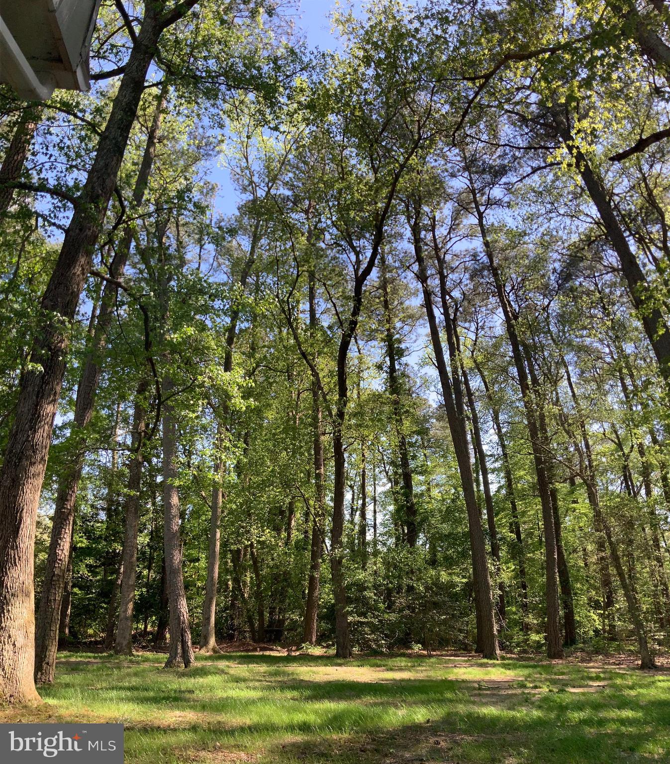 HUNTING PARK - Residential